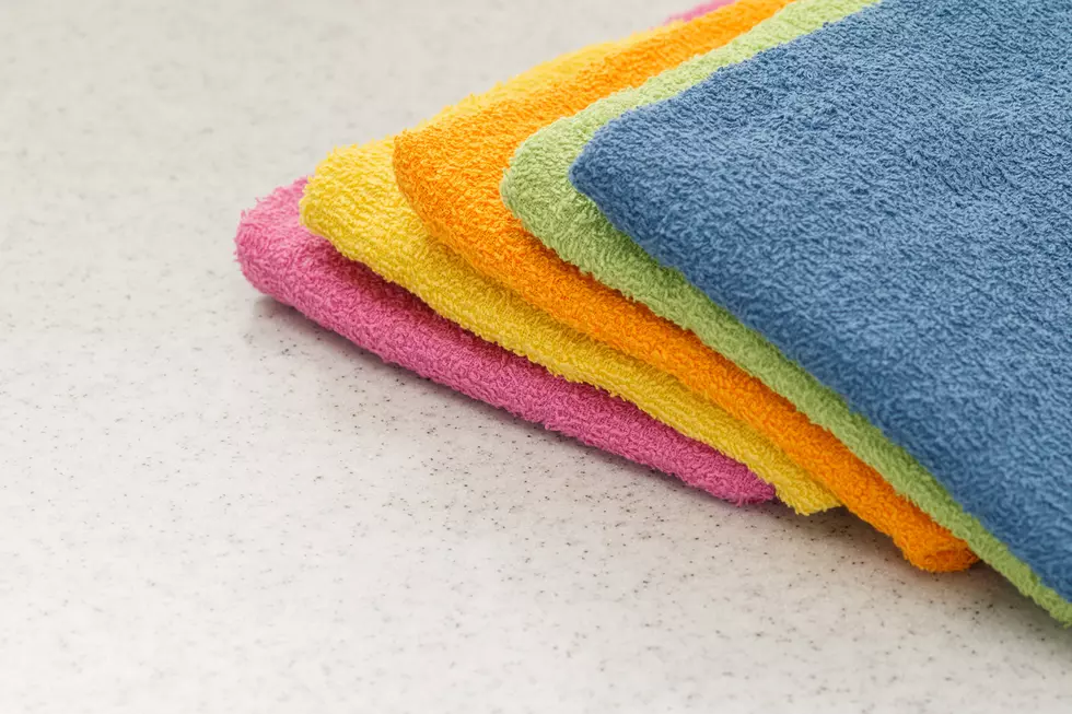 Animal Allies Humane Society Asking For Help In Restocking Towel Supply