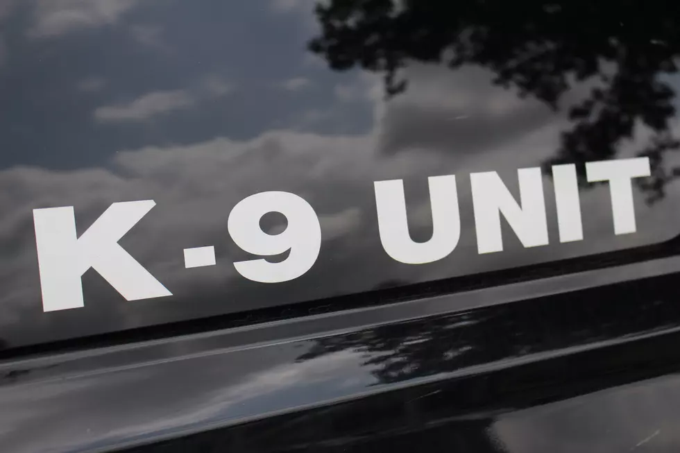 A Unique Type Of K9 Pup Joins Wisconsin Police Department