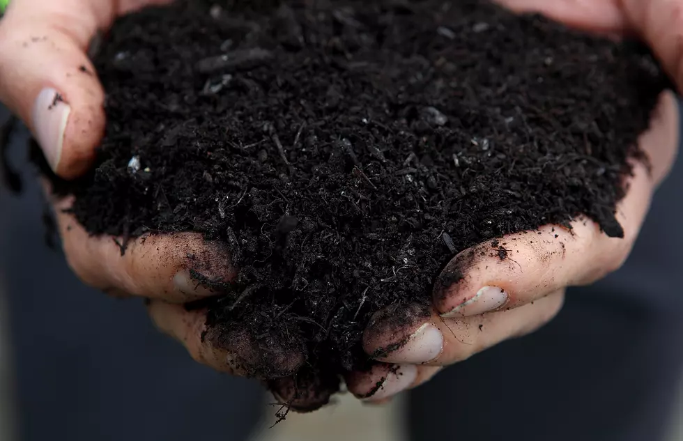 WLSSD’s Duluth Compost Yard Is Open Expanded Days In June