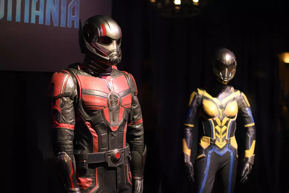 Ant-Man and The Wasp: Quantumania – No-Spoiler Review