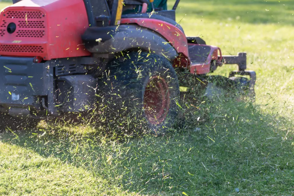 Win A $500 Spring Shopping Spree At Denny’s Lawn, Garden + Power Equipment